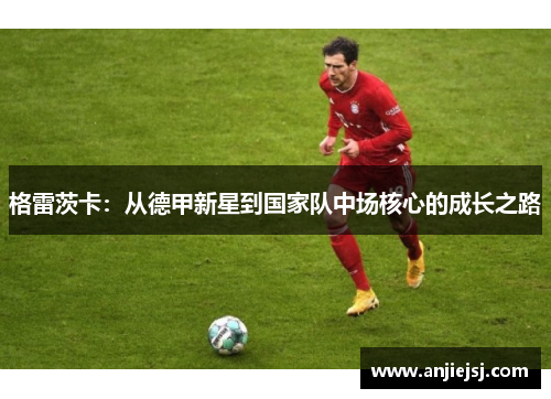 格雷茨卡：从德甲新星到国家队中场核心的成长之路