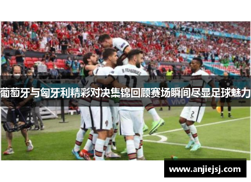 葡萄牙与匈牙利精彩对决集锦回顾赛场瞬间尽显足球魅力