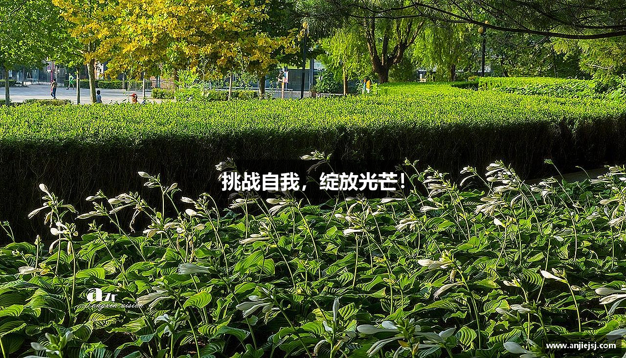 威尼斯8188www挑战自我，绽放光芒！